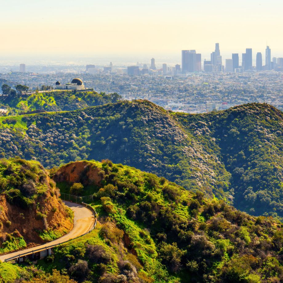 View of Los Angeles skyline