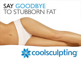 Dr. Michael A. Persky - Squeezing It (the Fat),  Freezing It (the Fat) and Reducing It (the Fat) at Persky Sunder Facial Plastic Surgery